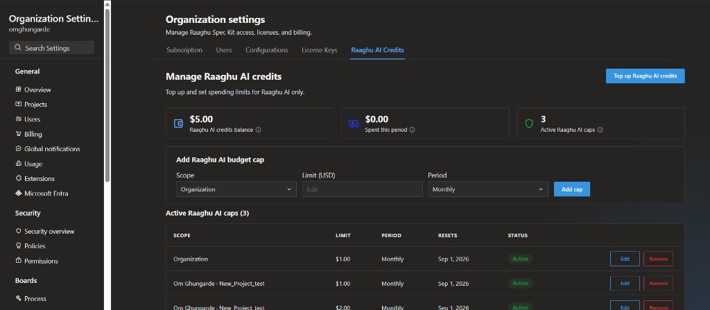 Organization Settings Raaghu AI Credits tab with balance, Top up, and Add Raaghu AI budget cap