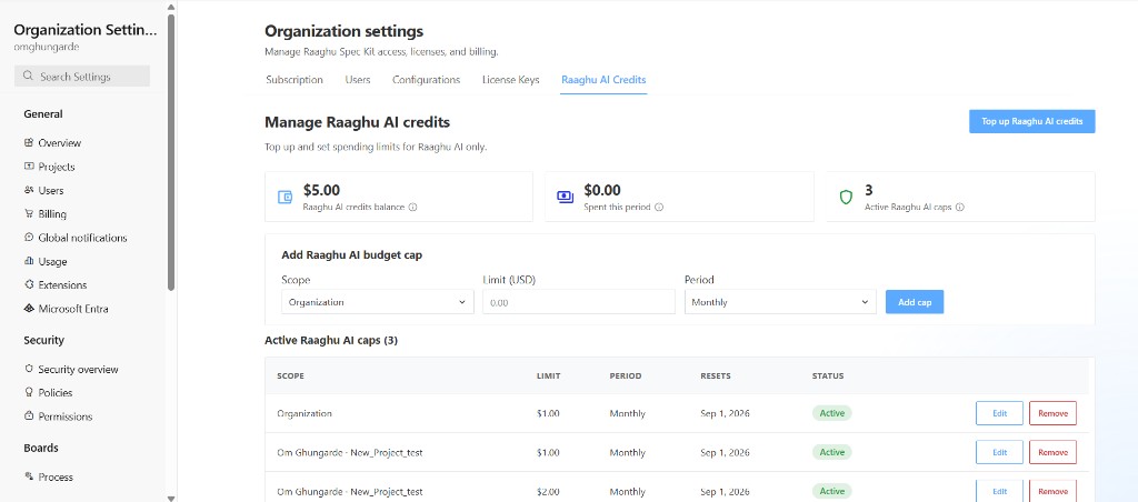 Organization Settings Raaghu AI Credits tab with balance, Top up, and Add Raaghu AI budget cap